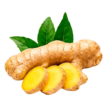 Gengibre