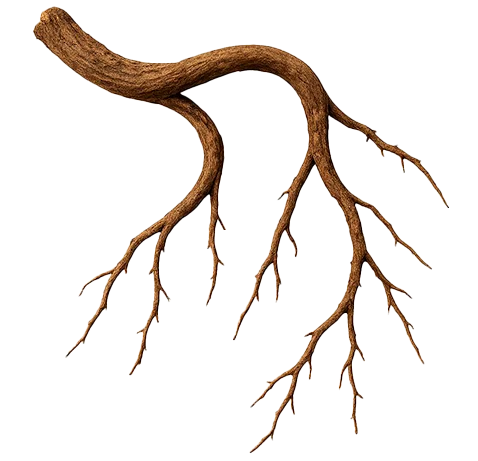 Glucomanano